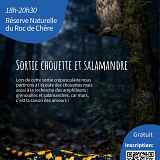 Sortie Chouette et Salamandre