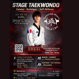 Taekwondo - stage technique / combat / self défense