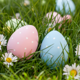 Pâques avec les poneys