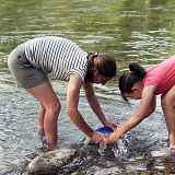 Initiation à l'orpaillage