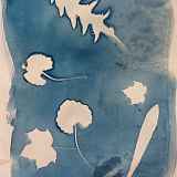 Jardins en cyan