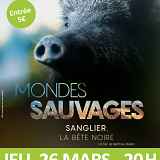 Festival du film vert : Sanglier, la bête noire