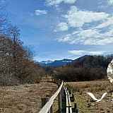 Sophro Balade équilibrante au Marais du Maravant