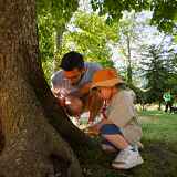 Atelier (grand) parent-enfant : mission insectes et construction d'un mini hôtel