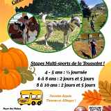Stage 6/7 ans - 2 j multisports + canirando vacances d'automne
