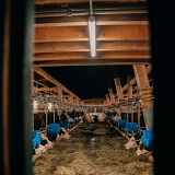 Ferme de l'Auboury