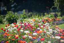 Atelier pratique : Faire son jardin de A à Z,  l'eau au jardin, usages et économie