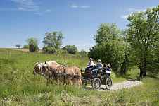 Attelage des Greppes