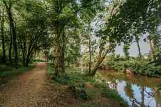 Saint-Julien-en-Genevois