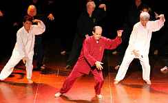 Sakura l'Art du Mouvement