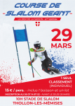 Course de slalom géant