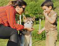 Visite de la meute des Granges de Heidi