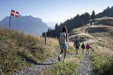 Randonnée pédestre : Boucle de la Servaz