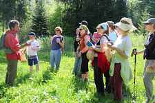 Comprendre et utiliser les plantes