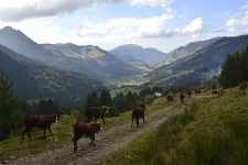 Itinéraire pédestre : Boucle des Plagnes