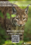 Le lynx du Chablais : sur les traces d'un fantôme