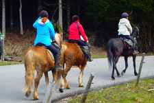 Randonnées personnalisées