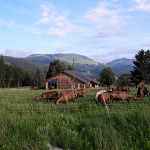 Animations chez l'Irmande