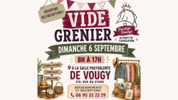 Vide grenier de la fête aux Pruneaux