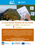 Le Lynx boréal, fantôme de nos forêts