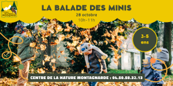 La balade des minis : Le mini arbre