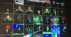 Atelier : Lightpainting, un jeu de lumières