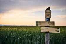 Boucle pédestre de Cernex