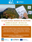 Le Lynx boréal, fantôme de nos forêts