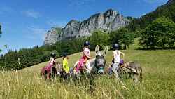 Randonnée avec des ânes