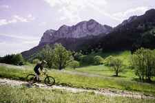 VTT : Circuit n°7 La grande forêt