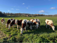 Petite boucle des Paysages des Lanches