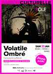 Théâtre : Volatile ombré