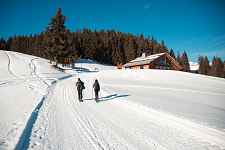 Itinéraire Ski de Randonnée : La Ravine à Claudius