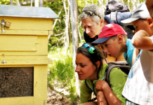 Visite guidée du Jardin des Cimes  - Groupes