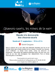 Chauves-souris, reines de la nuit