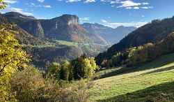 Découverte des plantes sauvages de la Vallée du Brevon