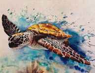 Agenda de la semaine en Haute-Savoie : Les événements à ne pas rater !