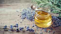 Atelier : Soin du montagnard