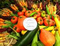 Les Jardins du Taillefer