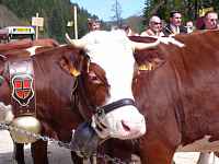 Foire de la Bathie