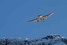 Vol découverte en avion