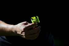 Sorties cueillette - Refuge des Gourmets