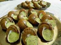 Escargotière de Chevenoz