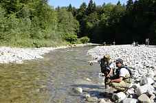 Pêche dans la Fillière