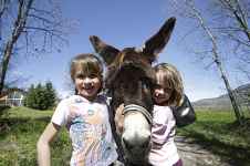 Sentier pédestre : sens et découverte des animaux de la ferme