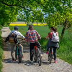 Office de tourisme de Thonon - Location de Vélos Electriques
