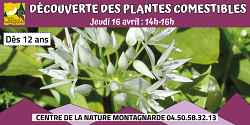 Découverte des plantes comestibles