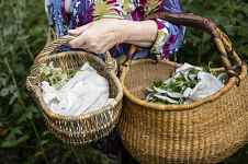 Bon cadeau : atelier création d'un baume naturel