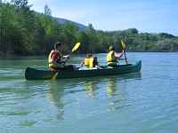 Canoë Kayak : descentes du vieux Rhône - la Chanazienne