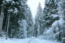 De l'Erigné à Fréterolles